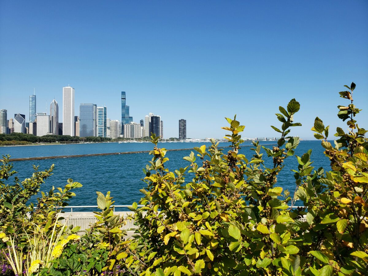 Illinois APRN License Renewal and CE Requirements