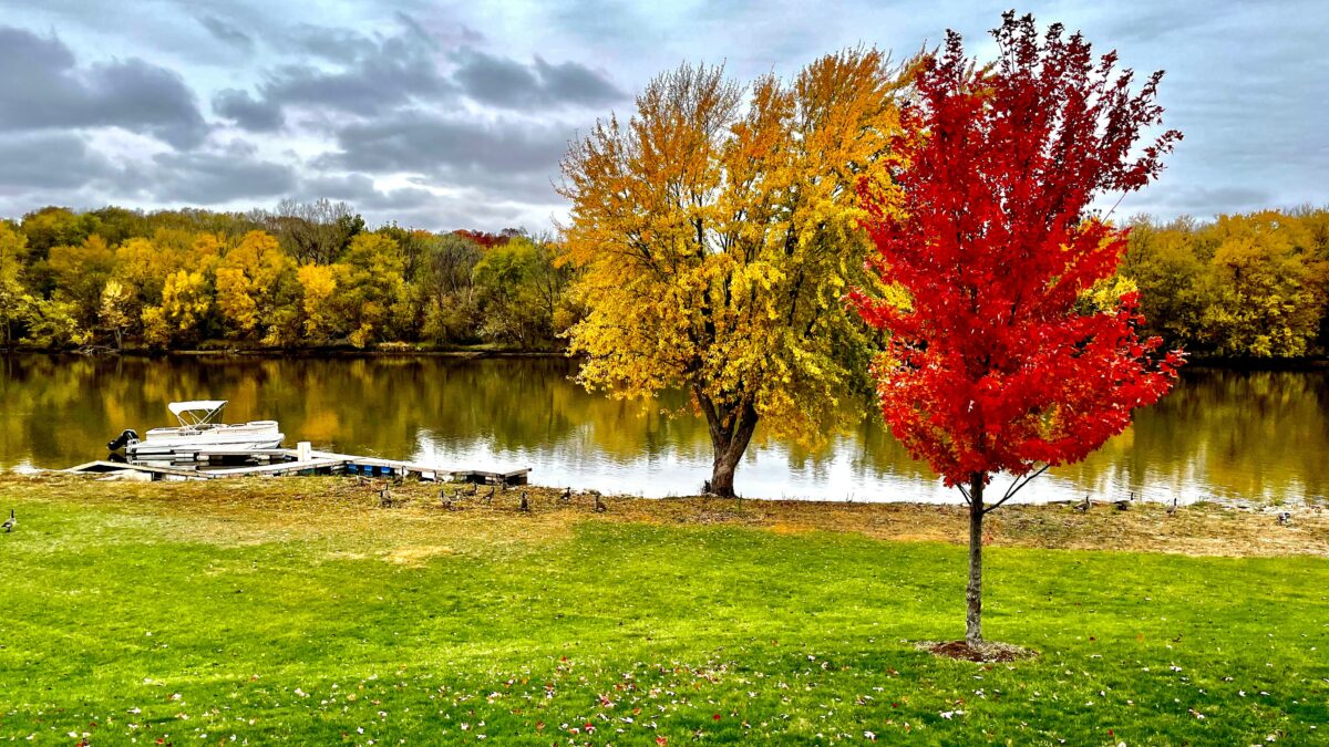 Illinois RN/LPN License Renewal and CE Requirements