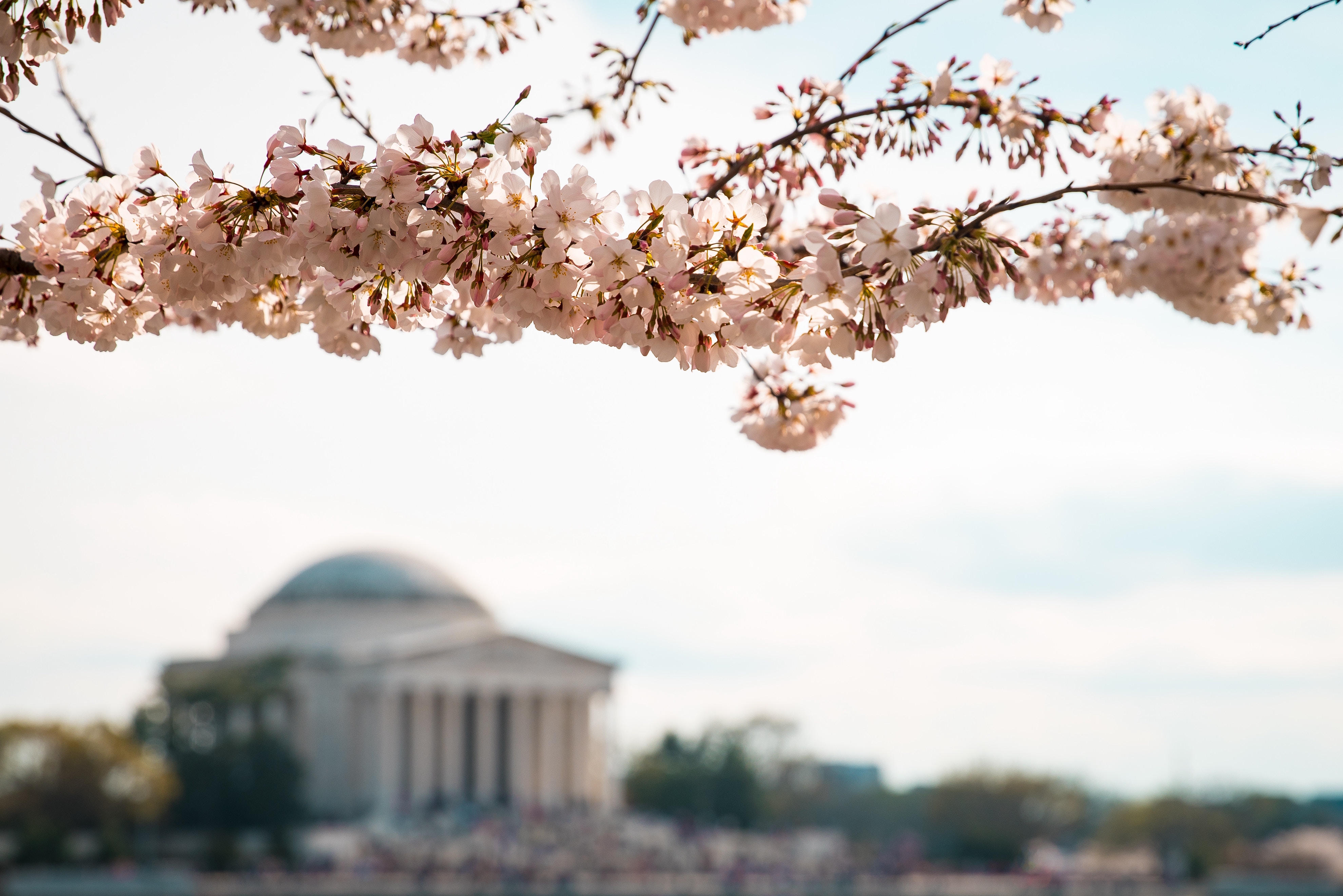District of Columbia Package
