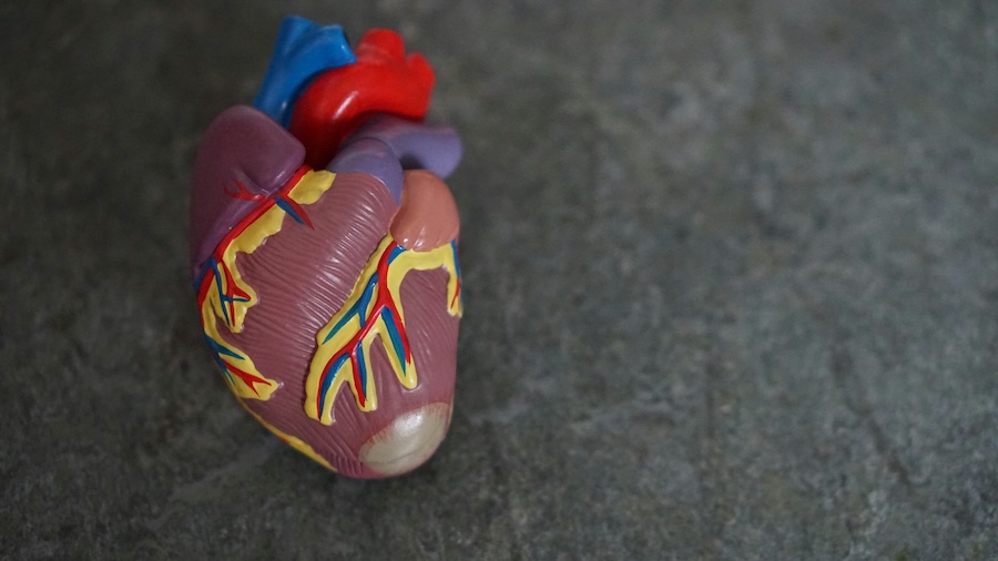 New Jersey Organ Donation 1 hour