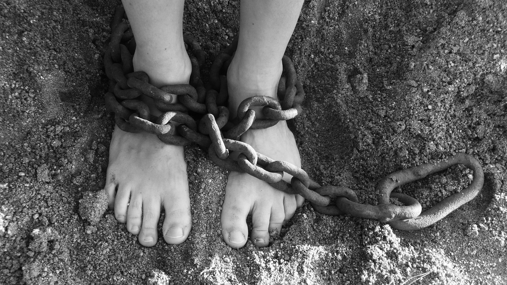 Human Trafficking Required Course 1 Hour- Pharmacy