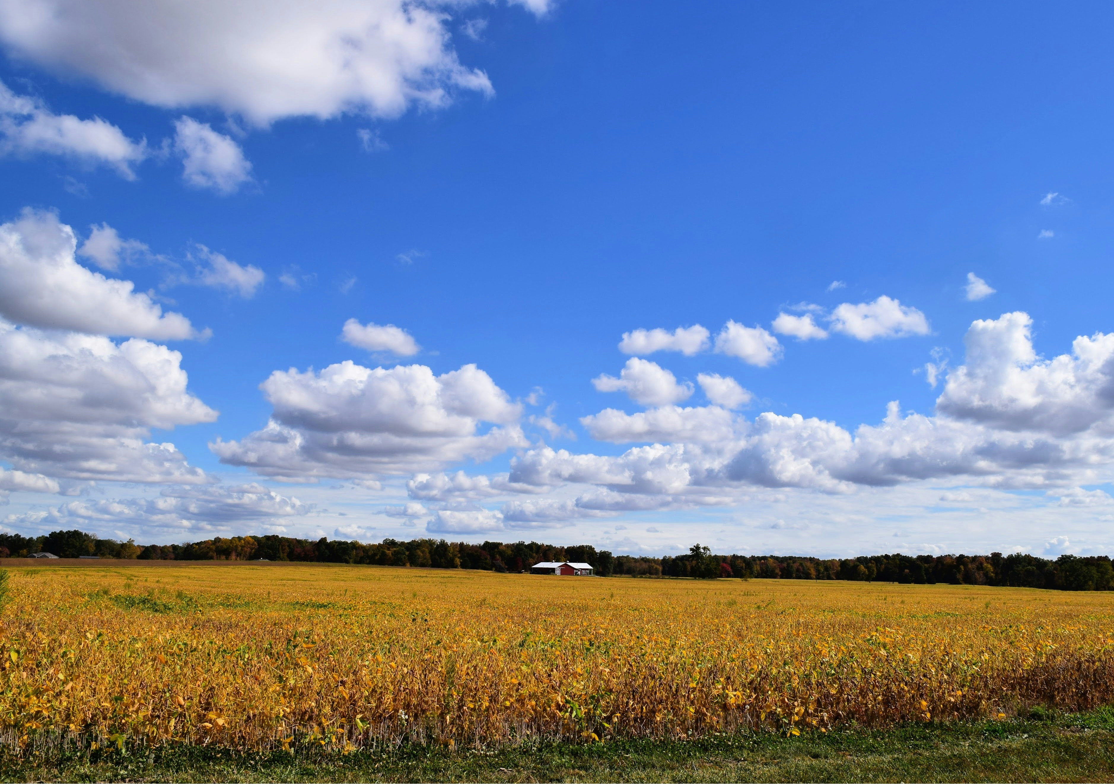 Indiana APN 30-Hour CE Package | Includes 12 Pharmacology Hours and Opioid Prescribing CE