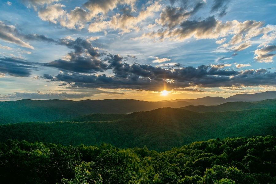 North Carolina 10-Hour Nurse Practitioner CE: Pharmacology + Controlled Substances