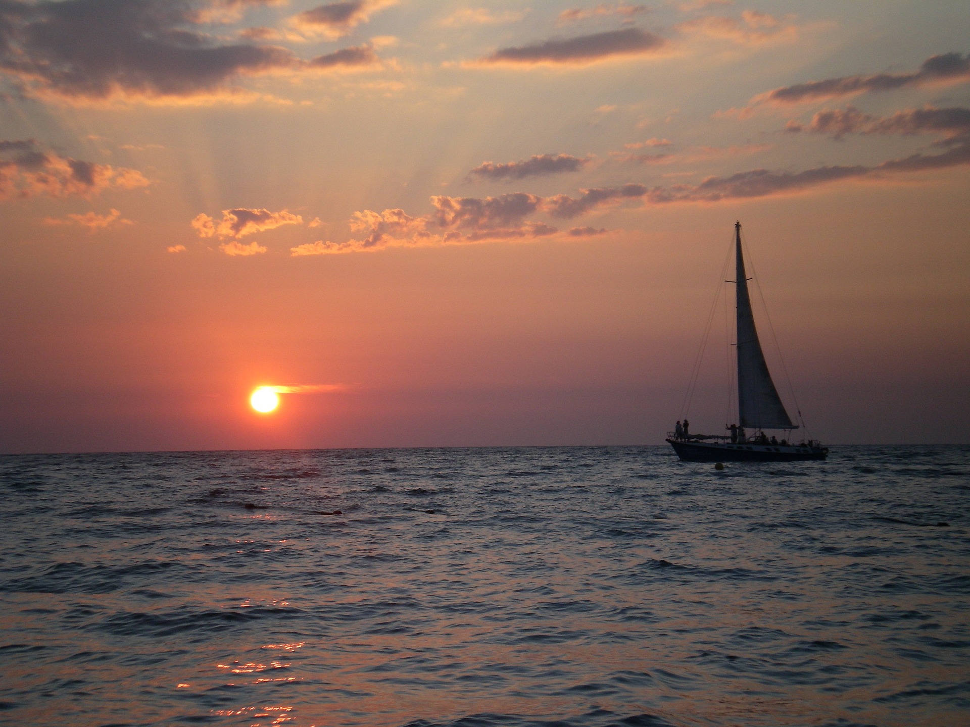 Laws & Rules of the Florida Board of Respiratory Care - Required