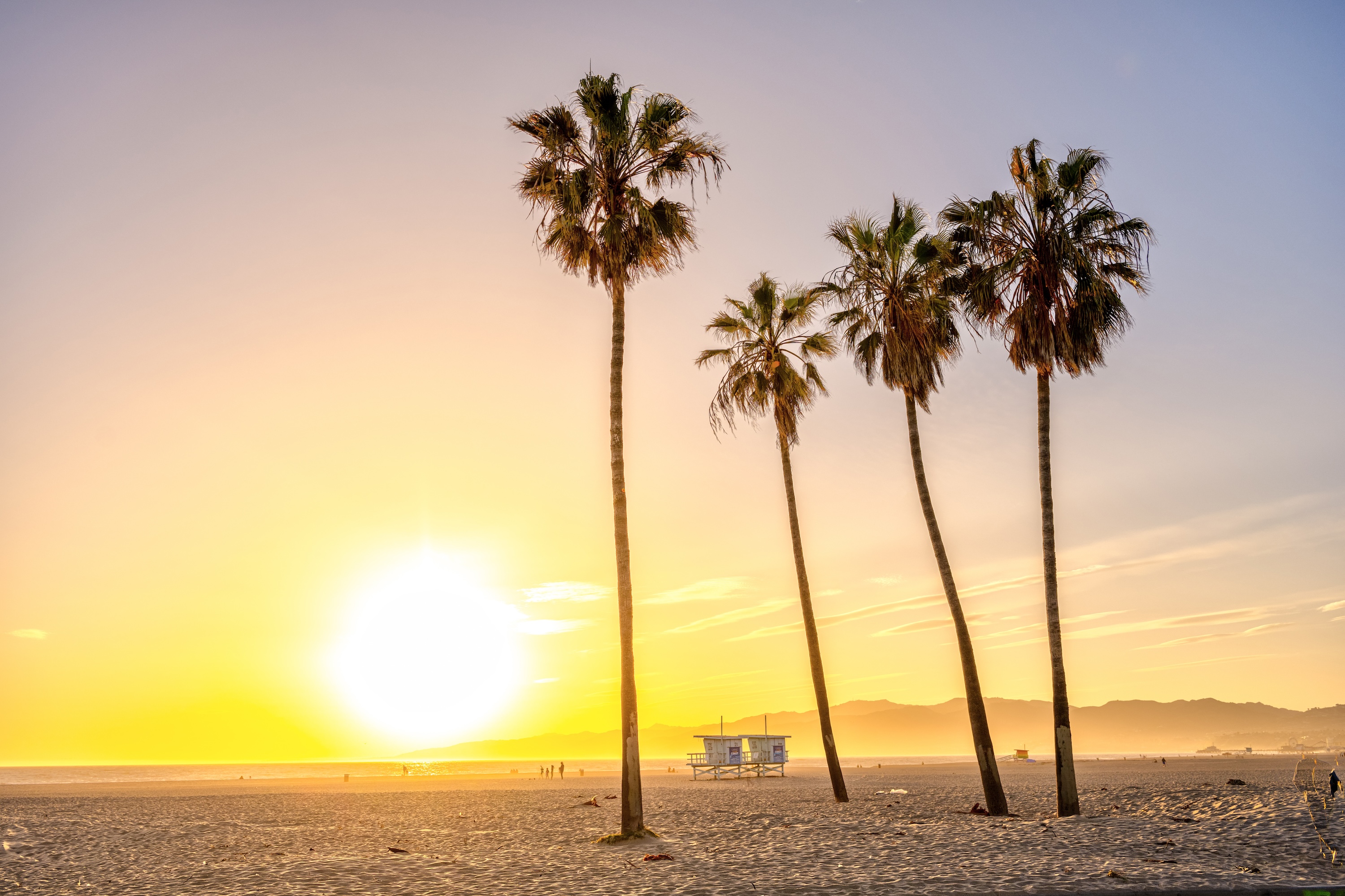 California LVN License Renewal: 30-Hour Continuing Education Package